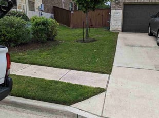 Larry B.'s turf care service result