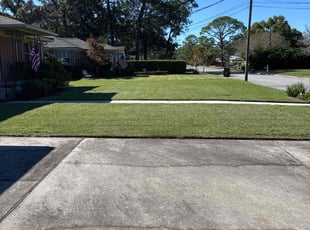 Niki W.'s grass maintenance service result