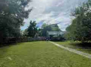 Jeffery V.'s lawn maintenance service result