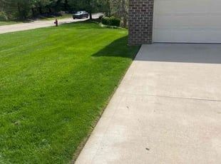 Tina L.'s grass maintenance service result