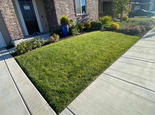 Kevin H.'s yard maintenance service result