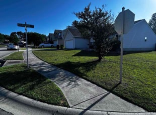 Christopher J.'s grass maintenance service result