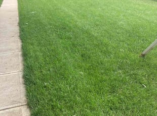 Jan E.'s landscaping service result