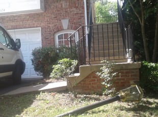 Rose C.'s Bush Trimming service result