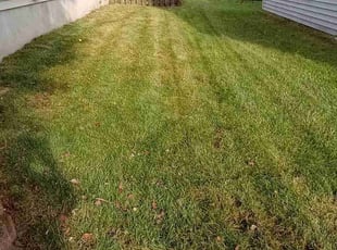 Jesse R.'s lawn care service result