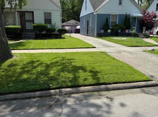 Billie P.'s grass cutting service result