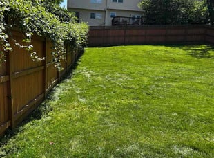 Velda C.'s grass maintenance service result