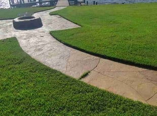 Marilyn D.'s turf care service result