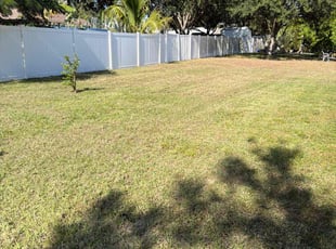 Patricia L.'s grass maintenance service result