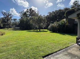 Larry T.'s grass maintenance service result