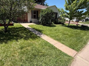 Emmanuelle D.'s lawn service service result