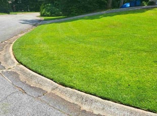 Stephanie S.'s turf maintenance service result