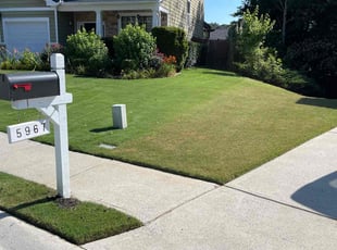 Sarah M.'s turf maintenance service result