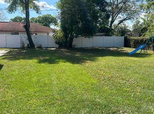 Alex H.'s lawn care service result