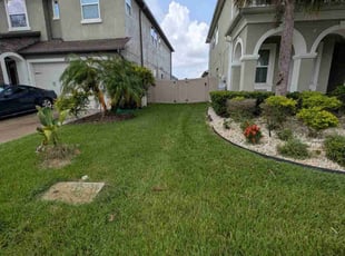 Jeannine K.'s grass cutting service result