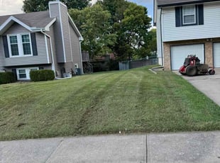 Keith G.'s grass maintenance service result
