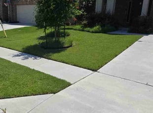 Lonny A.'s grass maintenance service result