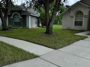 Linda S.'s lawn care service result