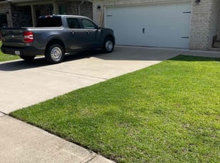 Pamela W.'s lawn care service result