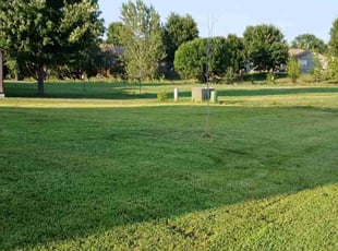 Christine W.'s lawn service service result