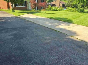 Michael D.'s turf care service result