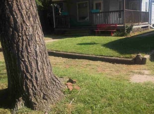 Deb M.'s lawn maintenance service result