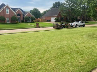 Surendra M.'s lawn service service result