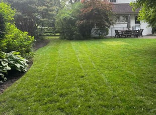 Tim W.'s lawn service service result