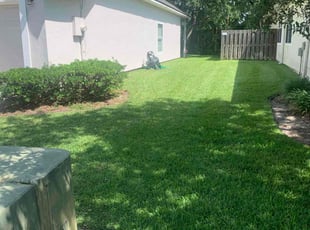 William S.'s grass maintenance service result