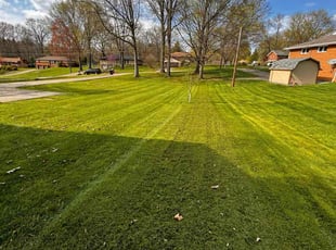 Lisa D.'s lawn care services service result