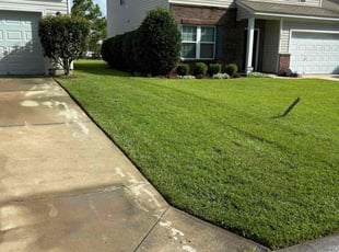 Kathy W.'s lawn service service result
