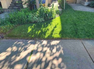 Zelma C.'s lawn service service result