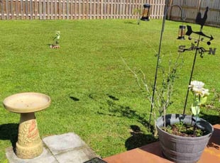 Nathan G.'s lawn maintenance service result