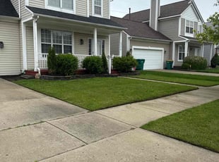 Jerry O.'s turf maintenance service result
