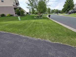 Donecia S.'s lawn service service result