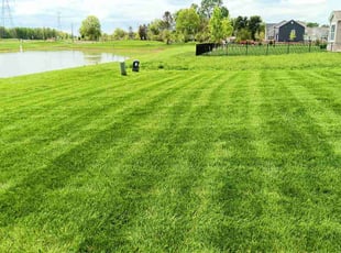 Jodi P.'s turf care service result