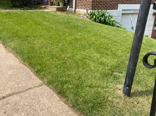 Rebecca M.'s lawn service service result