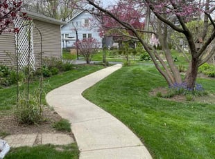 Jacalyn M.'s turf care service result