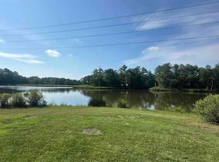 Jean L.'s lawn maintenance service result