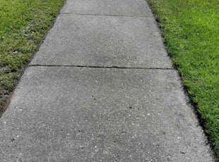 Lela W.'s turf maintenance service result