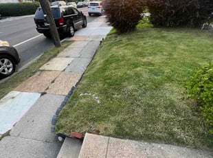 Janet C.'s lawn service service result