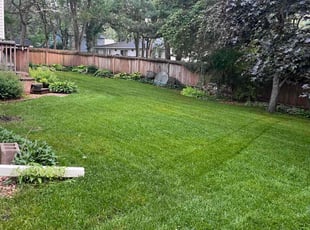 Howie T.'s turf care service result