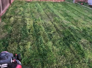 Aaron D.'s lawn care service result