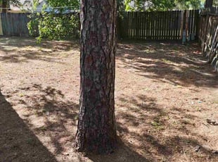 Rebecca A.'s Cleanup service result