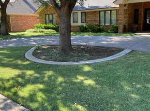 Steve S.'s turf care service result