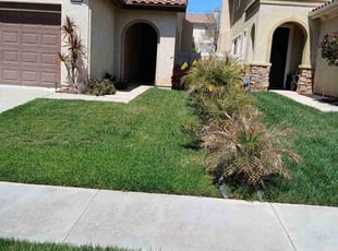 Sabrina R.'s grass cutting service result