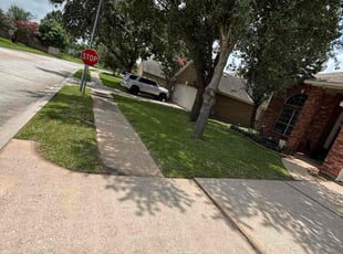 Amira H.'s grass maintenance service result