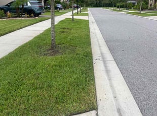 Natalie V.'s grass cutting service result
