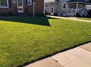 Sonia R.'s lawn care service result