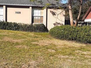 Pahonica M.'s Bush Trimming service result